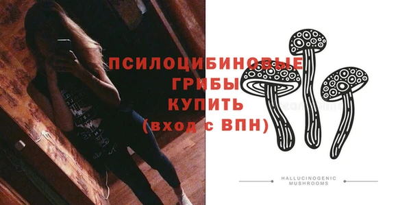 прущие грибы Козельск