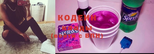 прущие грибы Козельск