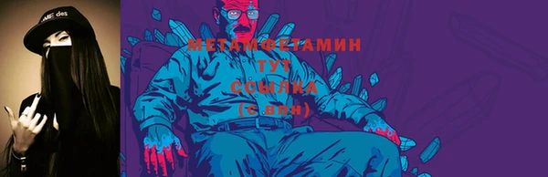 прущие грибы Козельск